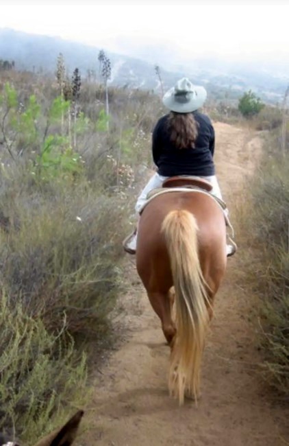 Obituary of Barbara Susan Gray