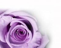 Obituary of Diane Parry