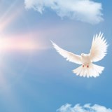 Obituary of Amiyah Moncrieffe-Daly