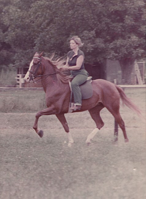 Obituary of Patricia Ann Walsh-Sakai