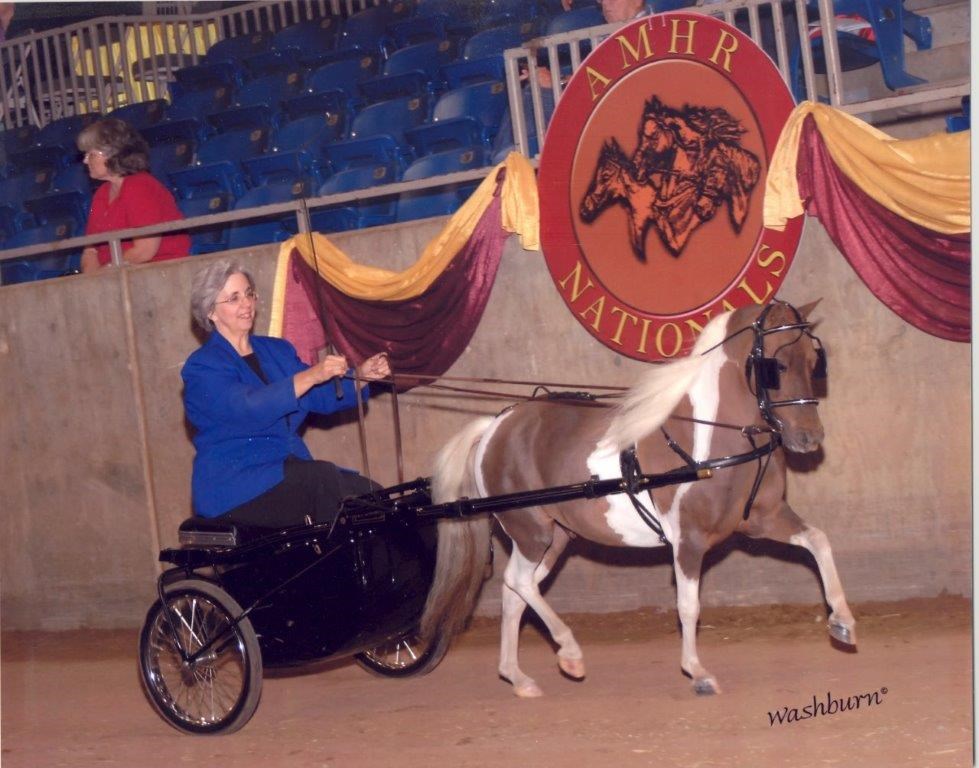 Obituary of Michele M. Presley