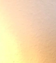 Jean Willa Rice Obituary - Jacksonville, FL