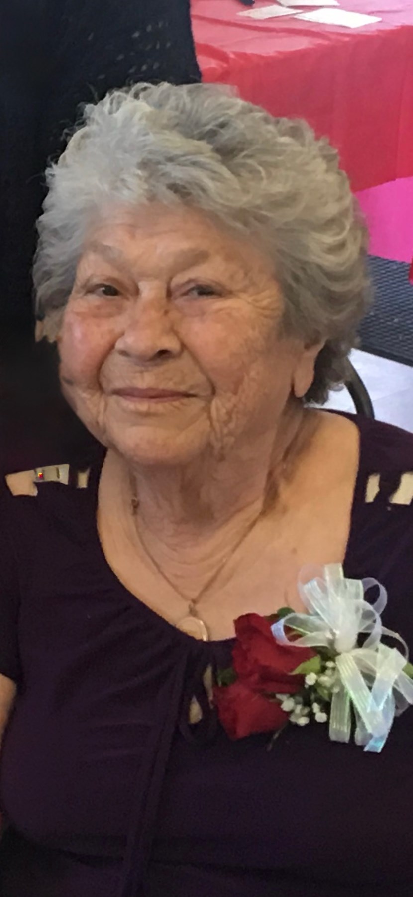 Obituary of Esther Mendoza Rubalcava Alves