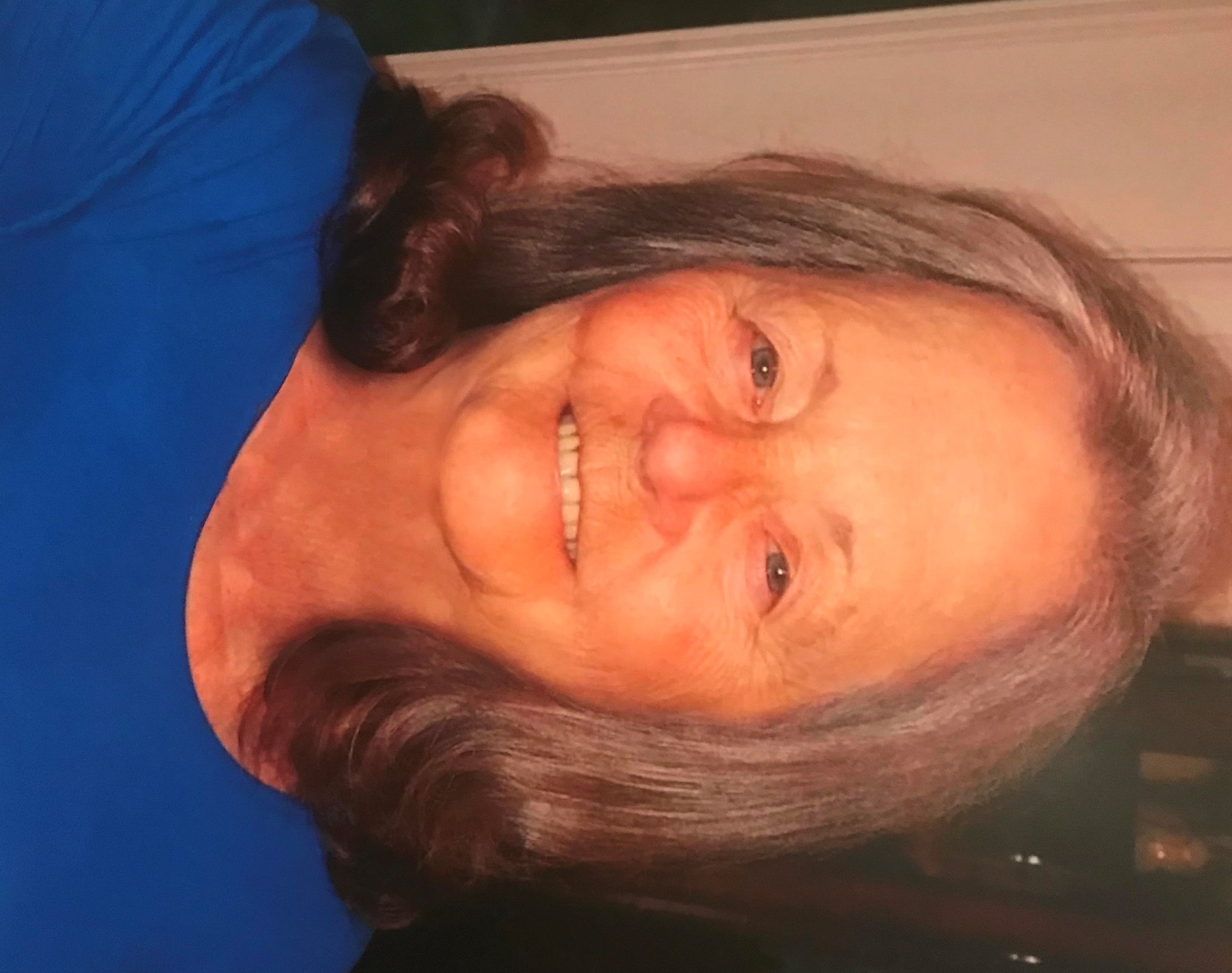 Obituary of Claudia Ann Hollenberg