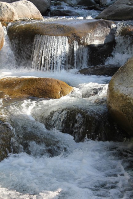 Obituary of Jeannette Marie McIntyre