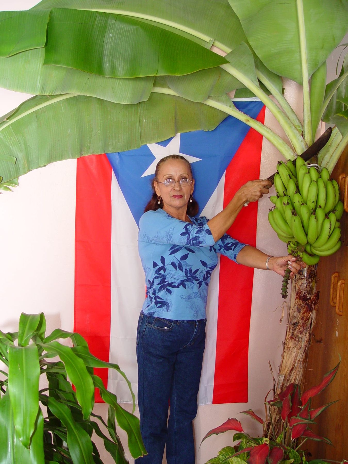 Avis de décès de Marta Amalia Rodríguez Ortiz