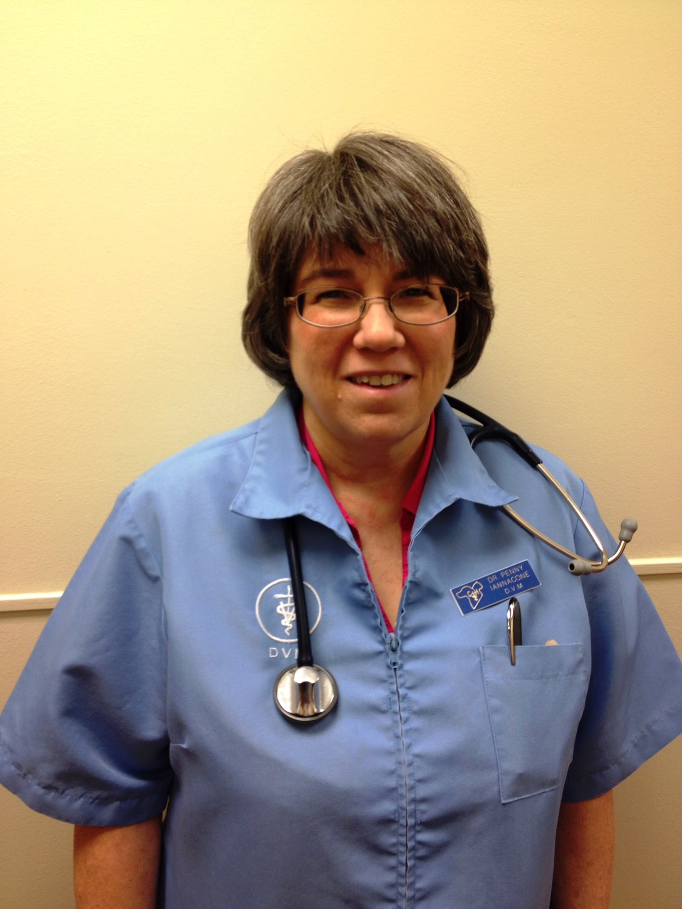 Penelope Iannacone Obituary Knoxville, TN