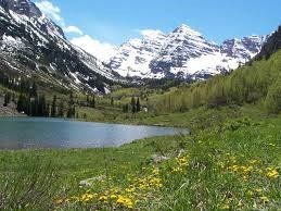 Obituary of Sally I. McCann