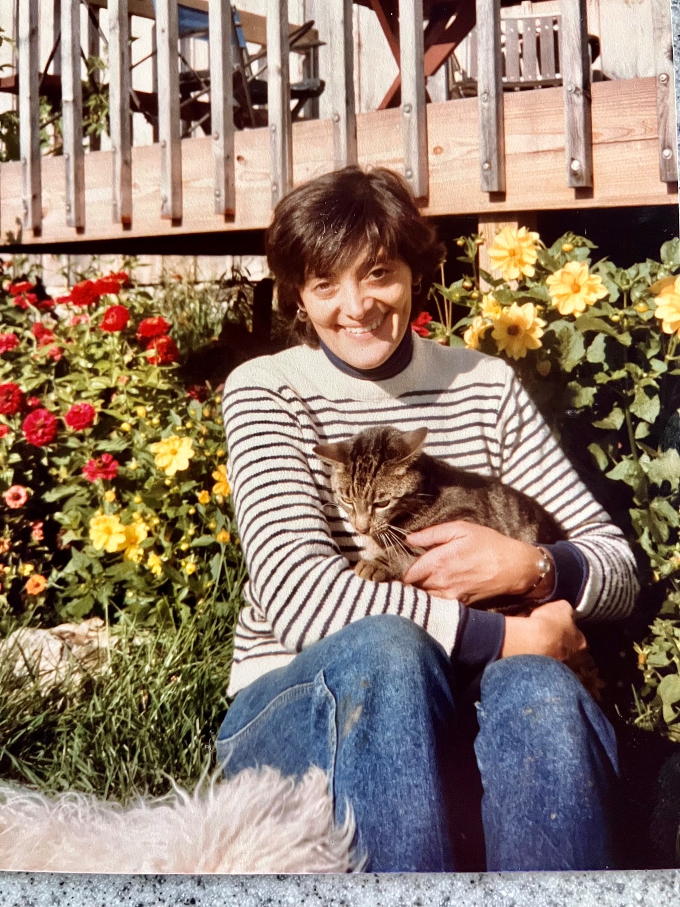 Obituary of Pamela Armstrong Manchester