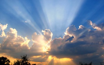 Obituary of Annette Deal