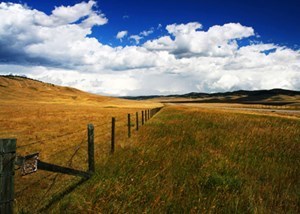 Obituary of Jamie Caroline Girvin