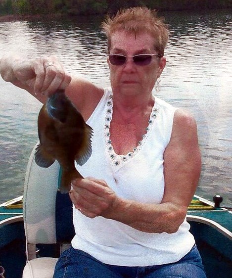 Obituary of Donna Jean Frye