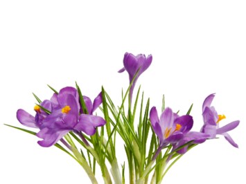 Obituary of Courtney Edmond VanFossen