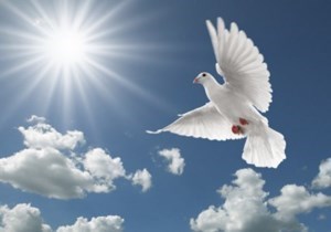 Obituary of Ana Sosa