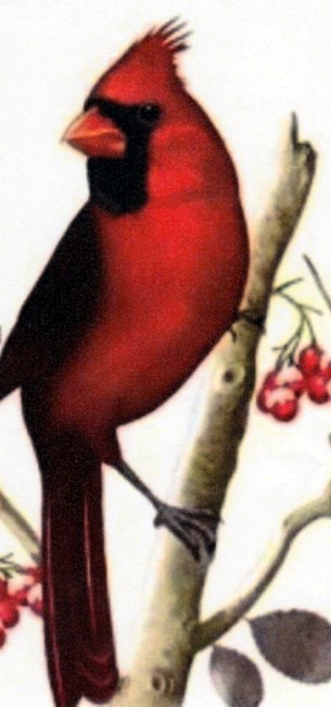 Obituary of Mary Ann Ward