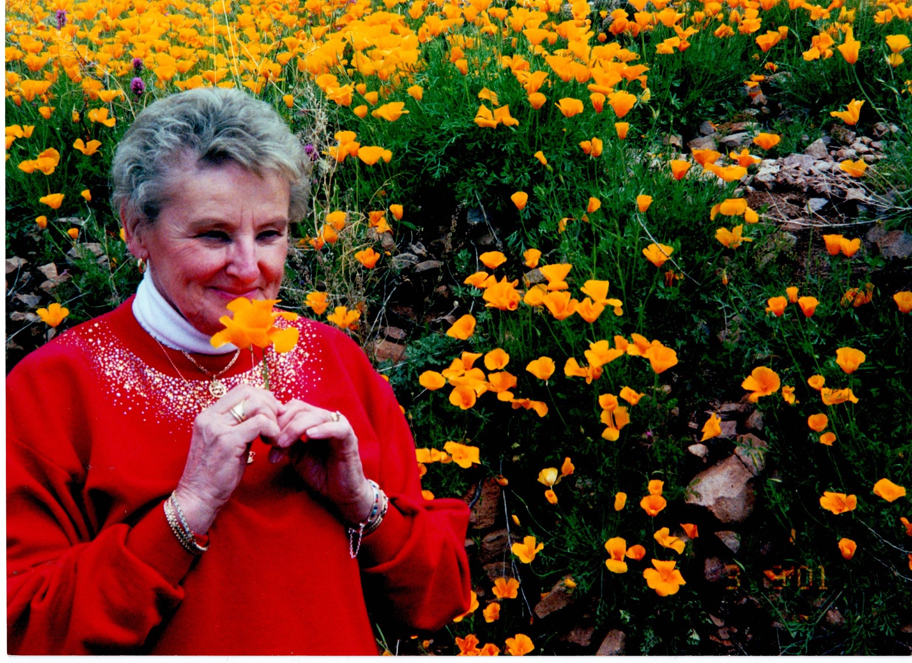 Obituary of Marianne Ingwersen