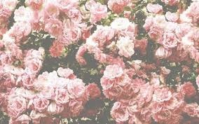 Obituary of Marilyn Diane Stevenson