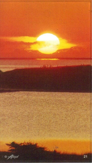 Obituary of William H. Wong