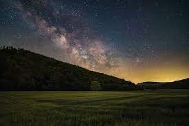 Obituario de Silvia - Ortiz