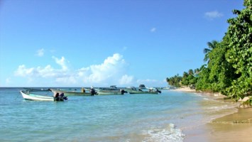 Obituary of Sergio Camero