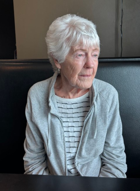 Obituary of Sharon Lee McMinimee
