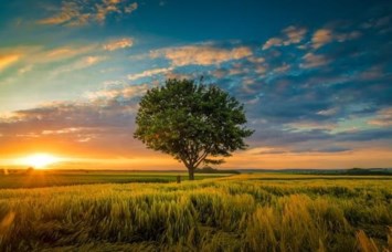 Obituary of Sonya Snyder Merriman