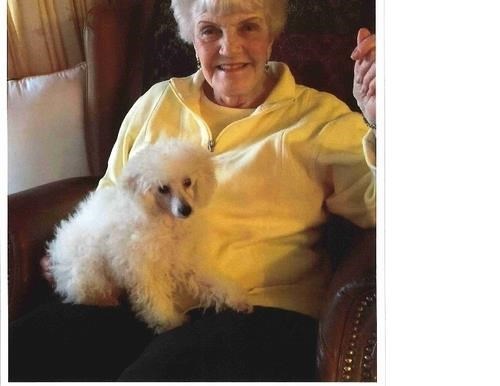 Obituary of Carole Eileen Larsen Galedrige