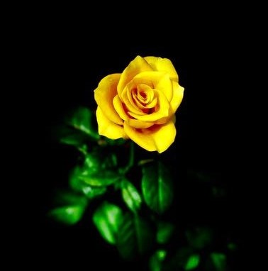 Barbara Shaw Obituary - Ft. Collins, CO