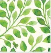 Obituary of Carmen Luisa del Valle López