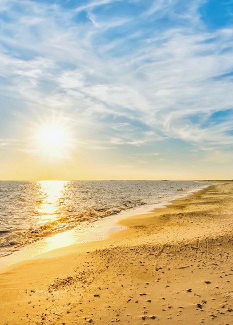 Obituary of Wai Kwok Luk