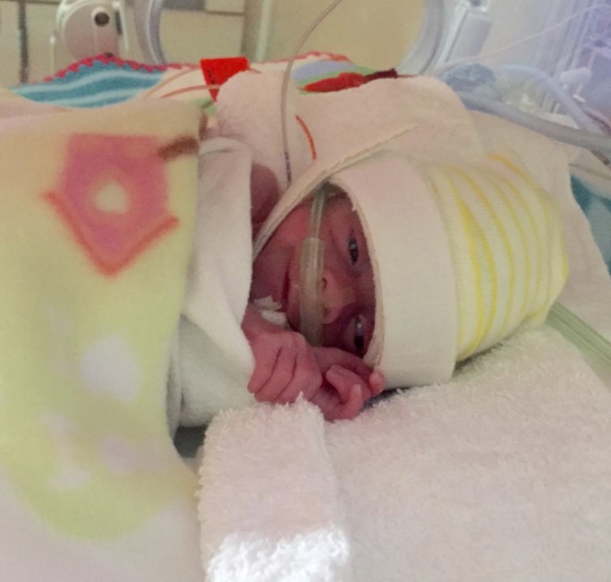 Obituary of Isabella "Bella" Renee Brady