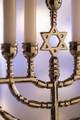 Obituary of Barbara Tannenbaum