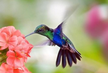 Obituary of David Melvin Pierce