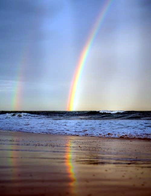 Obituary of Paul White