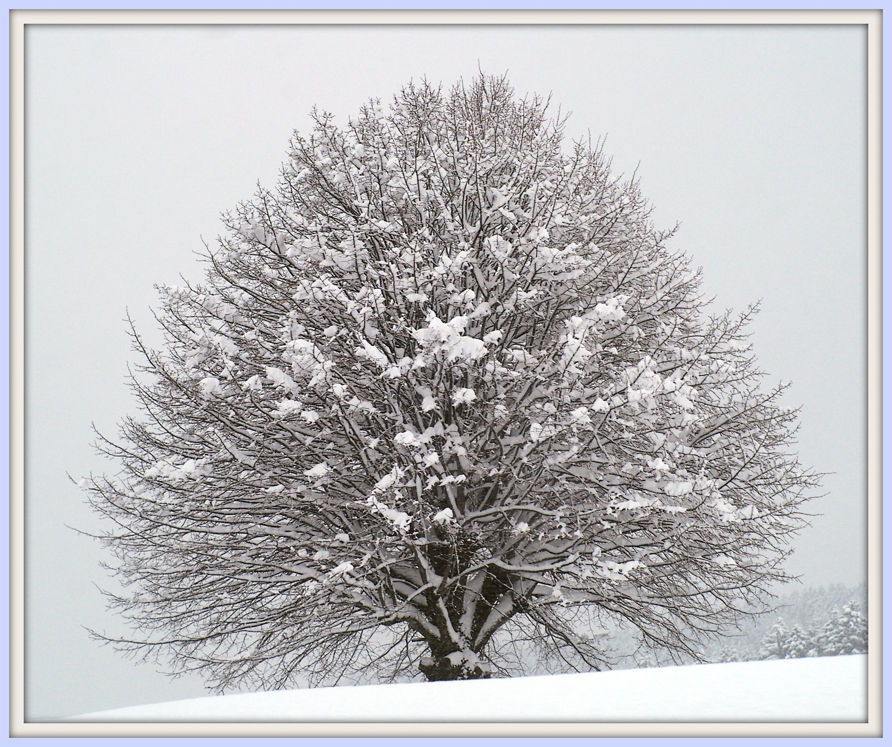 Obituary of Francis Walker Hall