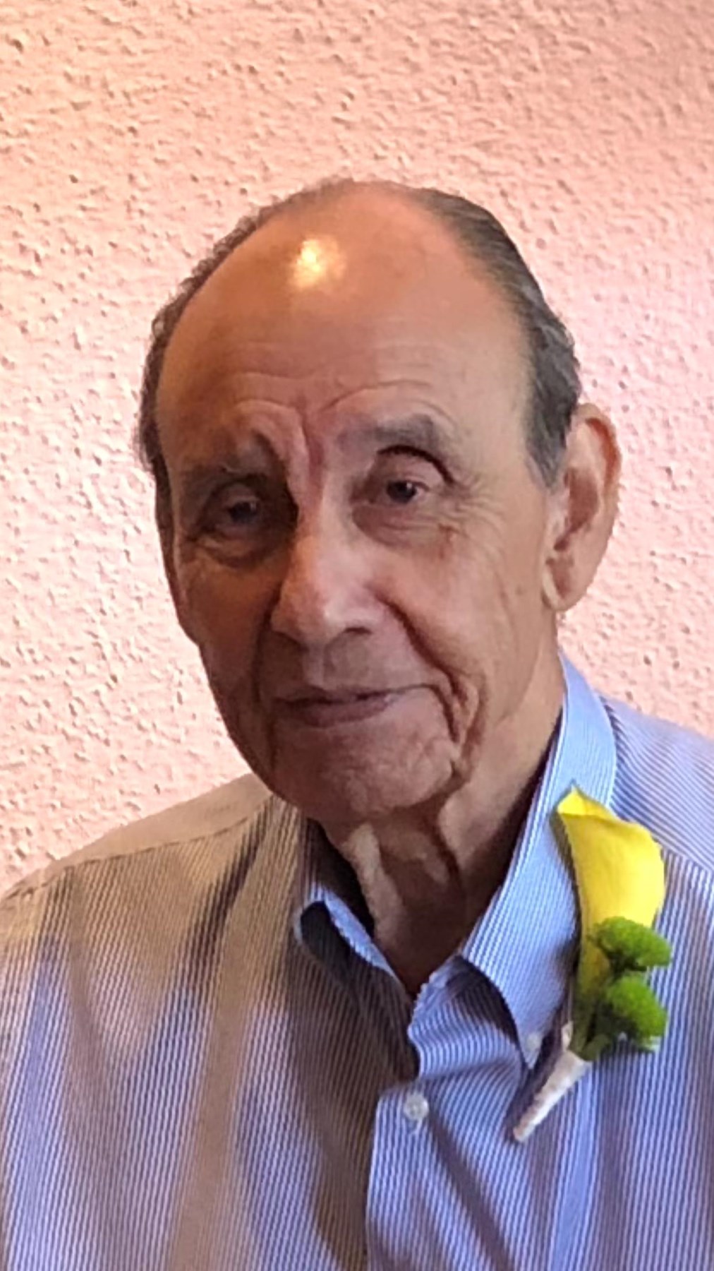 Obituary of Francisco "Frank" Medina Veloz