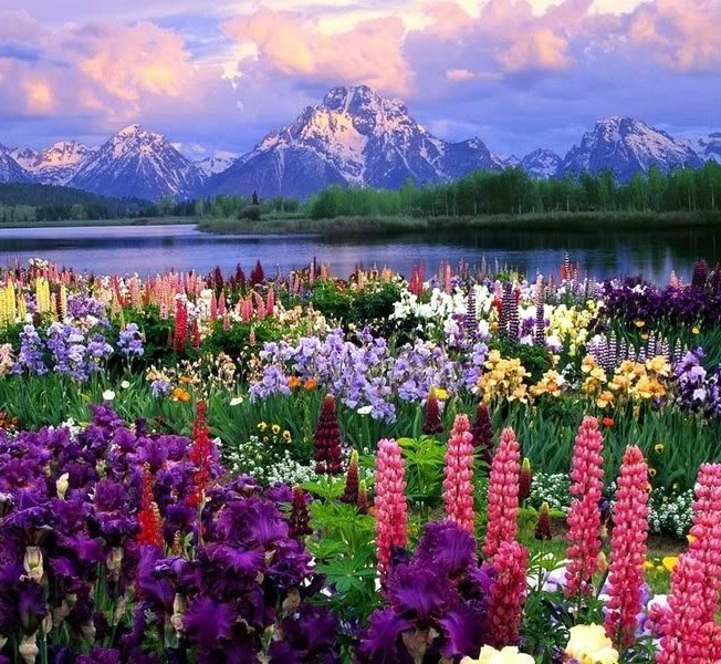 Obituary of Frances Marie Achille