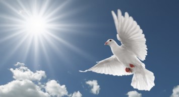 Obituary of Gloria Maria Rivera Cordova