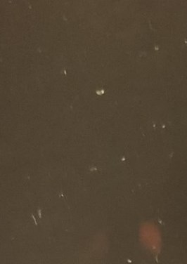 Jean-René Hamel Obituario - Brossard, QC