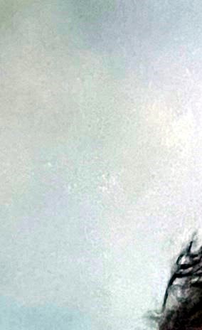 Sara Marshburn Obituary - Greensboro, NC