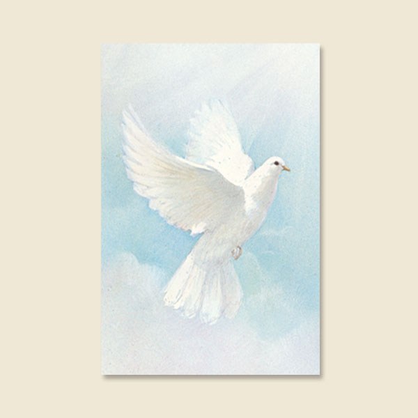 Obituary of Edith York