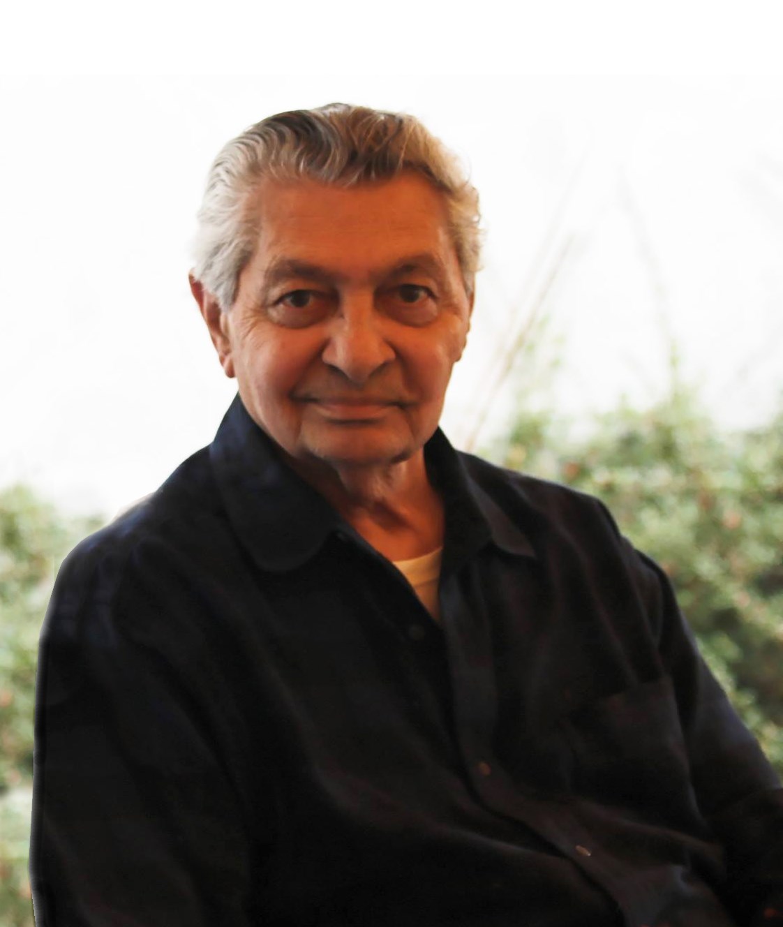 Obituary of Frank Pizzo