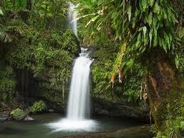 Obituary of Uriel Antonio Hernández Nuñez