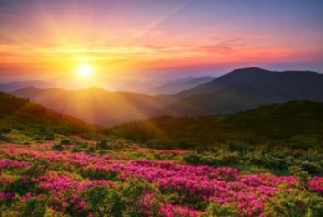 Obituary of Phillip Charles Huseby