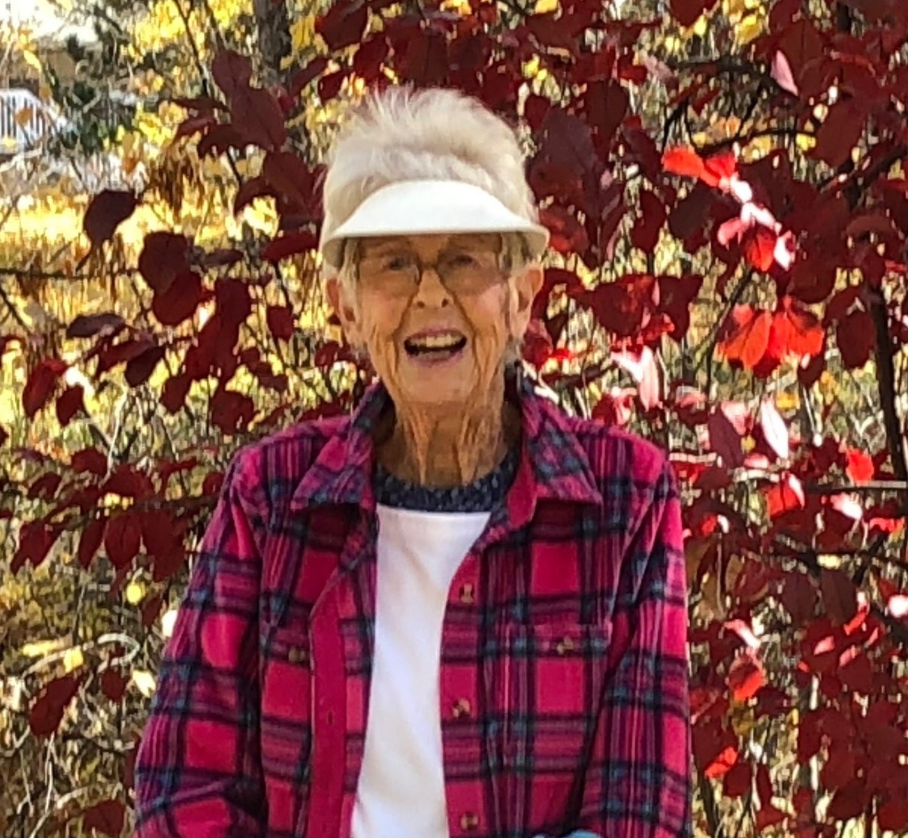 Obituary of Karen Marie Williams