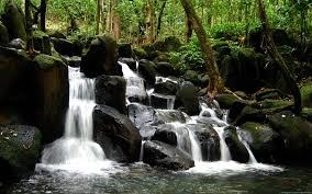 Obituary of Joe T. Jennings