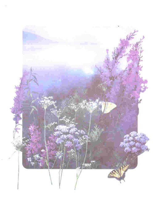 Obituario de Bonnie Spencer-Wieland