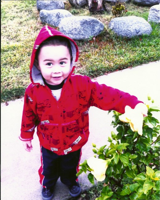 Obituary of Aiden Jadiel Jauregui