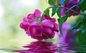 Obituario de Juana Warner