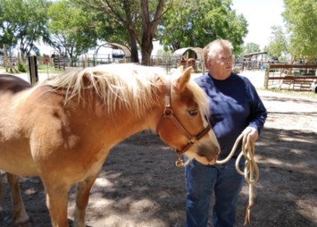 Obituary of Joan Harrell Chaffin